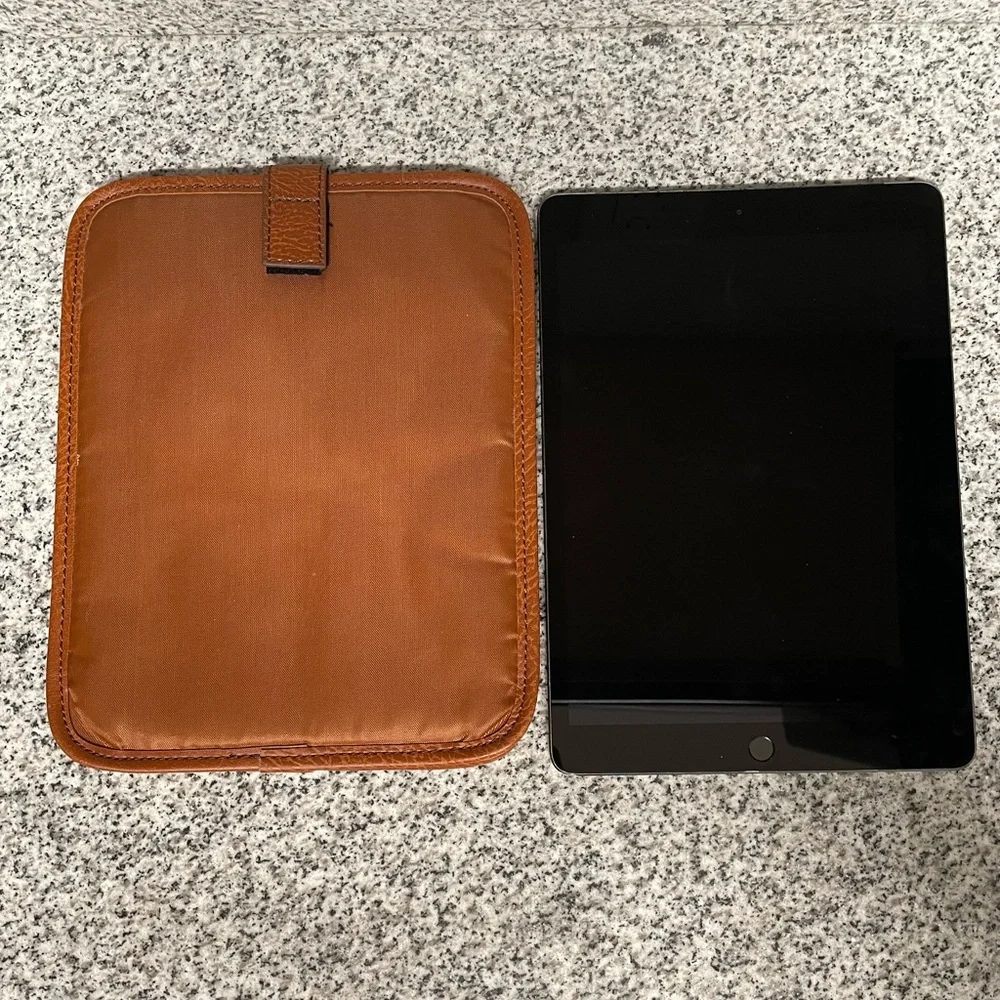 EUC Generic lightly padded iPad cover w/velcro closure tab‼️ iPad not included‼️